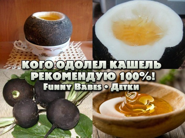 Черная редька от кашля: рецепты, как приготовить и принимать