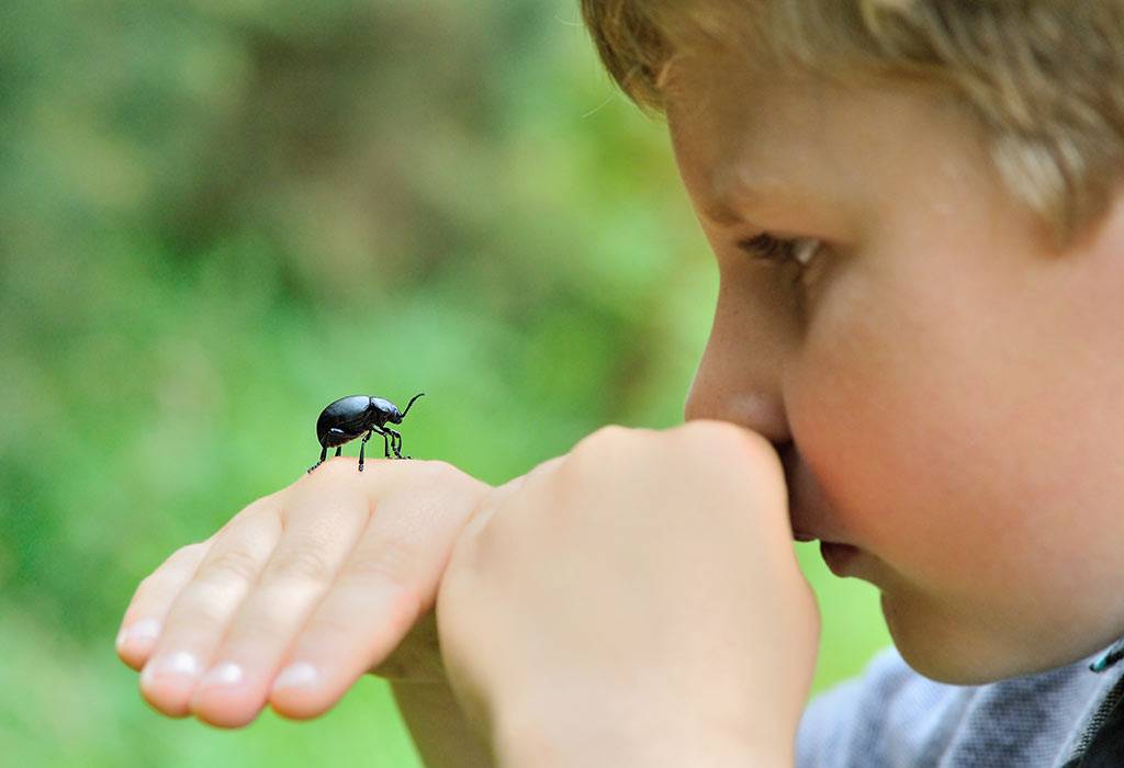 Ребенок боится насекомых