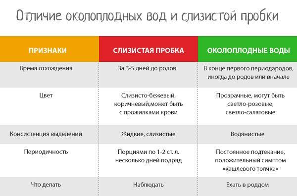 Выделения во втором триместре беременности: норма и патология