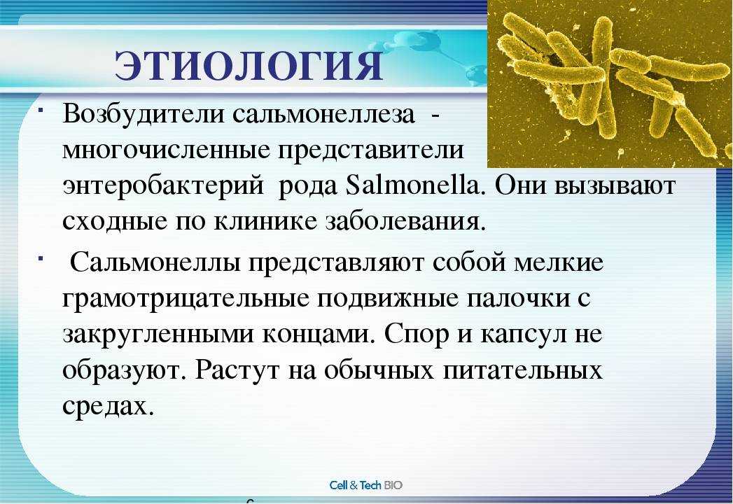 Сальмонеллез: симптомы у детей, инкубационный период, лечение заболевания, последствия