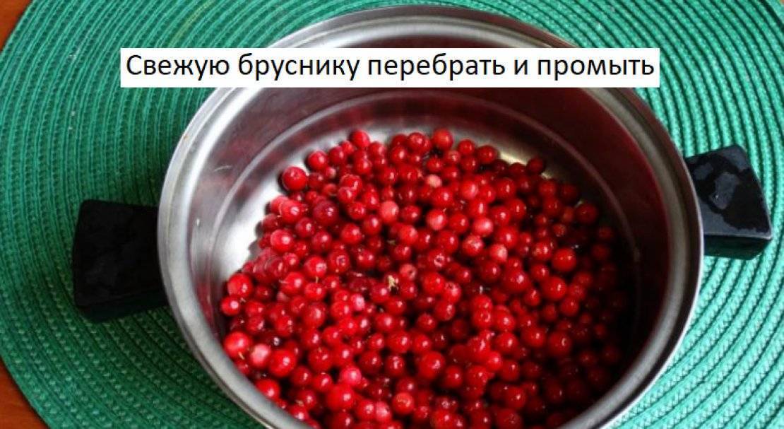 Брусничный лист при беременности: инструкция по применению, противопоказания, полезные свойства