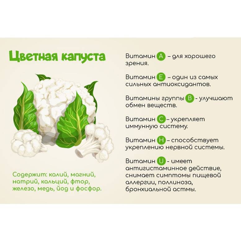 Лучшие рецепты из брокколи для кормящей женщины