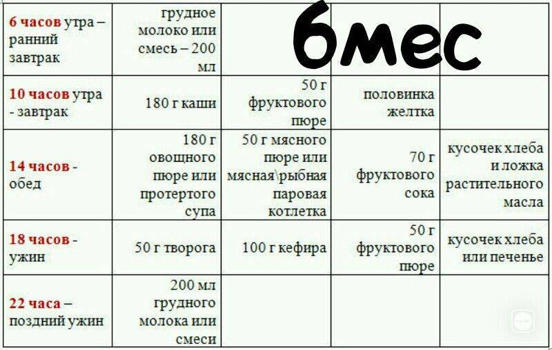 Схема кормления ребенка в 6 месяцев на искусственном вскармливании с прикормом по часам таблица