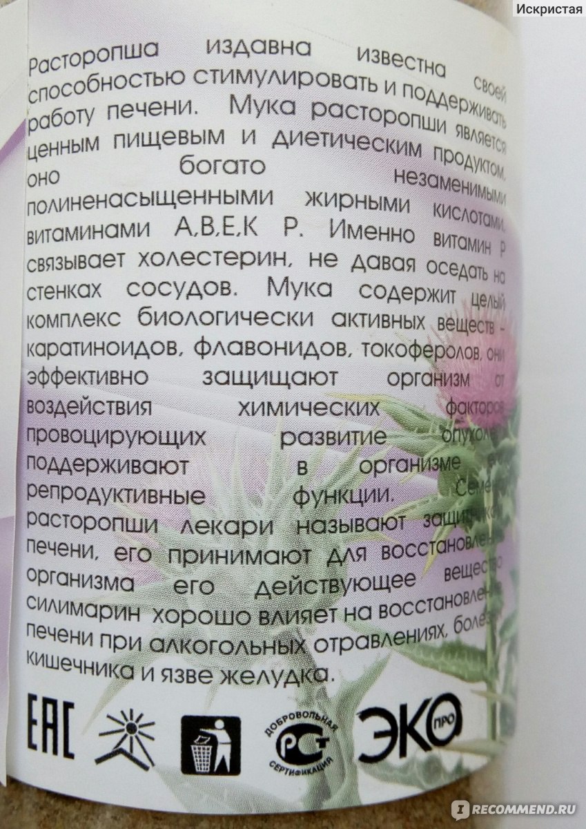 Польза и вред колючей расторопши