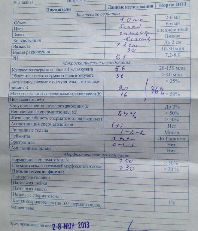 Планирование беременности – правильная подготовка к зачатию ребенка