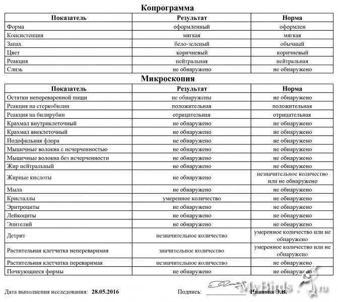 Копрограмма кала у детей: как правильно сдать, расшифровка показателей