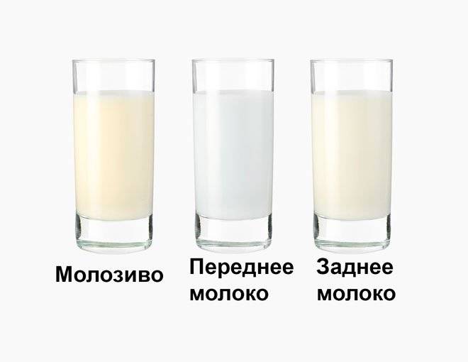 Цвет грудного молока в норме