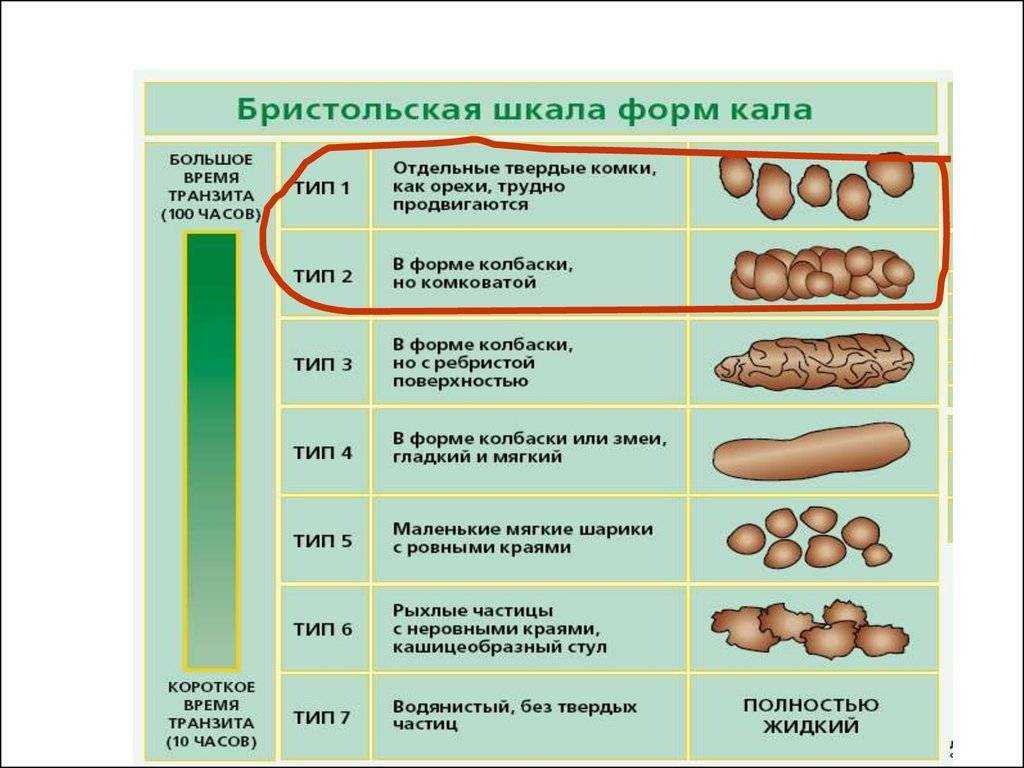 Запор у ребёнка: причины, 3 вида, 5 способов борьбы с затруднённым опорожнением кишечника