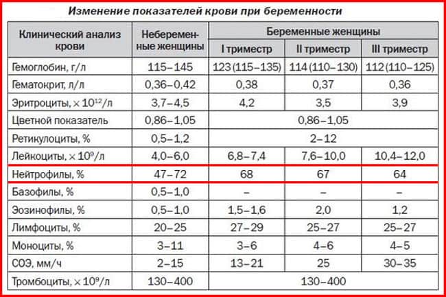Повышенный и пониженный уровень сегментоядерных нейтрофилов в крови у ребенка. причины и лечение