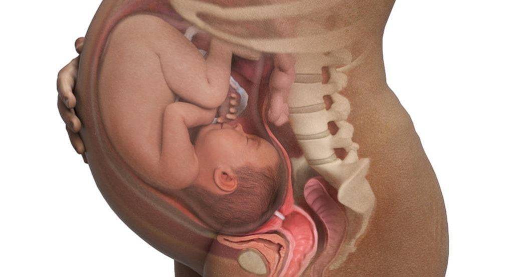 Ребенок икает в животе при беременности. почему ребенок икает в утробе?