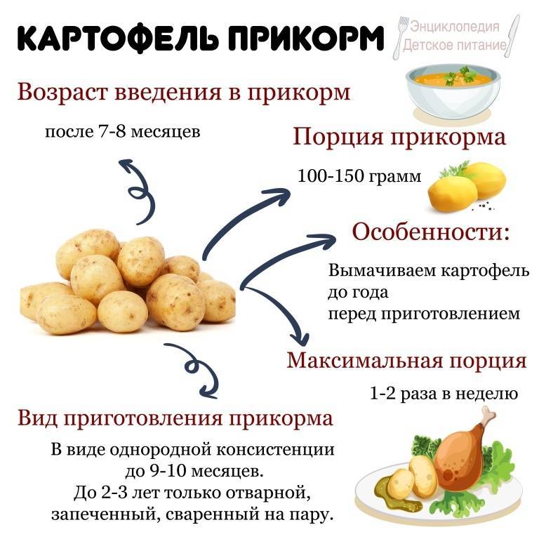 Можно ли картошку кормящей маме? | уроки для мам
