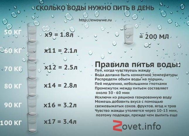 Все о допаивании ребенка первого года жизни