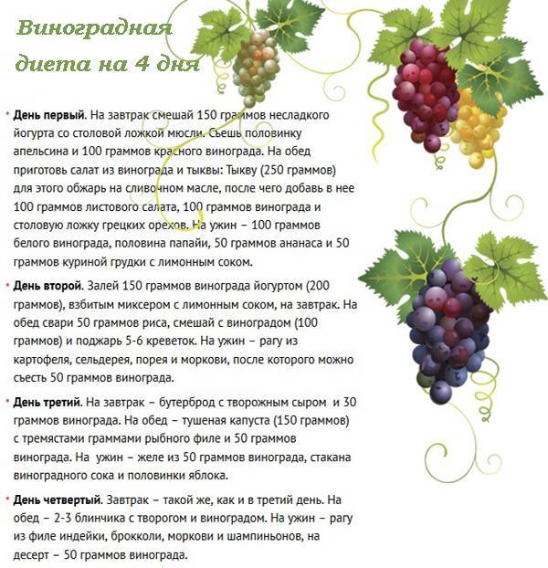 С какого возраста можно виноград ребенку