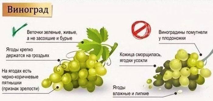 Можно ли кормящей маме виноград, воздействие при лактации