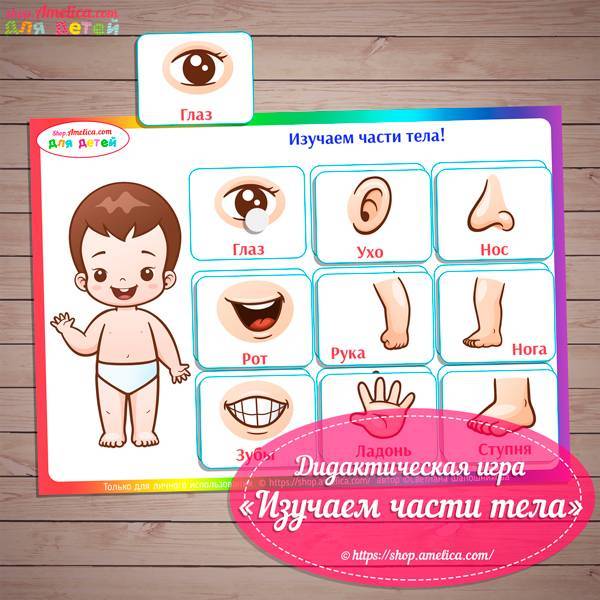Конспект занятия «части тела. дидактические игры на изучение частей тела