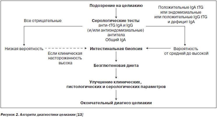 Что такое непереносимость глютена. Целиакия у детей клинические рекомендации. Целиакия у детей клинические рекомендации 2019. Целиакия алгоритм диагностики. Целиакия клинический диагноз.