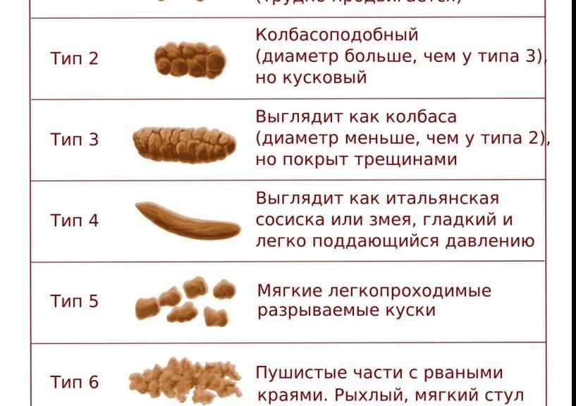 Стул грудничка после введения прикорма