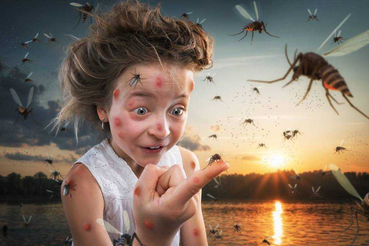 Ребенок боится мух
