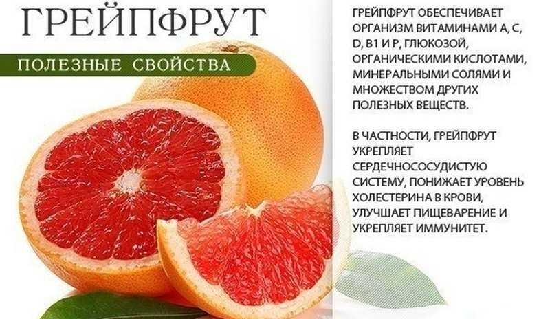 Грейпфрут: польза и вред для здоровья женщин и мужчин