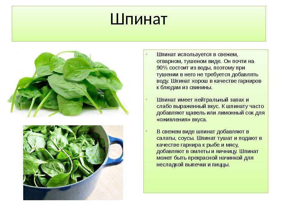 Какие салаты можно есть кормящей маме? (рецепты) - ✿ «всё для мамы»