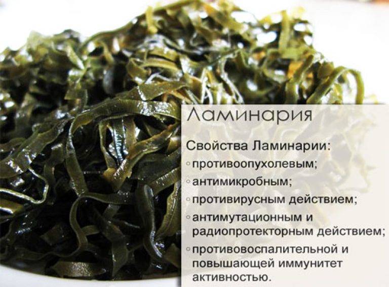 Полезна ли ламинария для беременных, и поможет ли морская капуста при стимуляции родовой деятельности: показания, противопоказания и начало родов