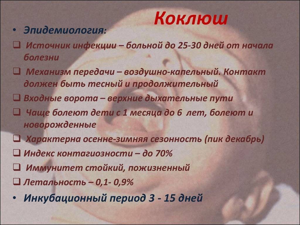 Что нужно знать о коклюше у детей? рассказывает врач-педиатр