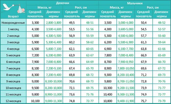 Развитие ребенка по месяцам до года