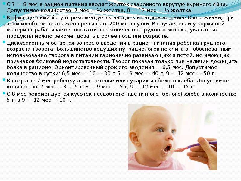 Перепелиные яйца польза и вред для детей: как давать, сколько можно есть