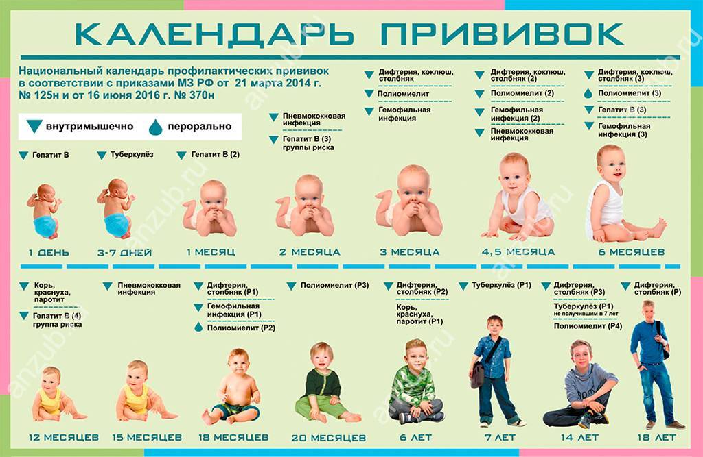 Когда, какие нужны и делать ли прививки грудничкам до года