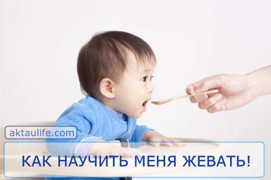 Как научить ребенка жевать твердую пищу