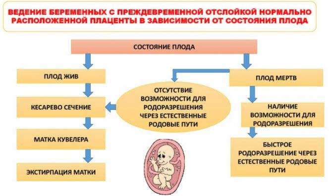 Признаки отслойки плаценты в третьем триместре. Отслоение плаценты при беременности 3 триместр. Отслойка при беременности 1 триместр. Отслойка плаценты в 3 триместре симптомы. Отслойка плаценты на поздних сроках причины.