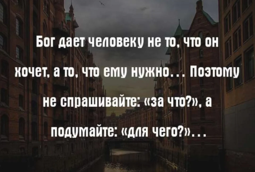 Наталья москвитина: меры поддержки многодетных нужно дифференцировать, а не применять репрессии - умная страна
