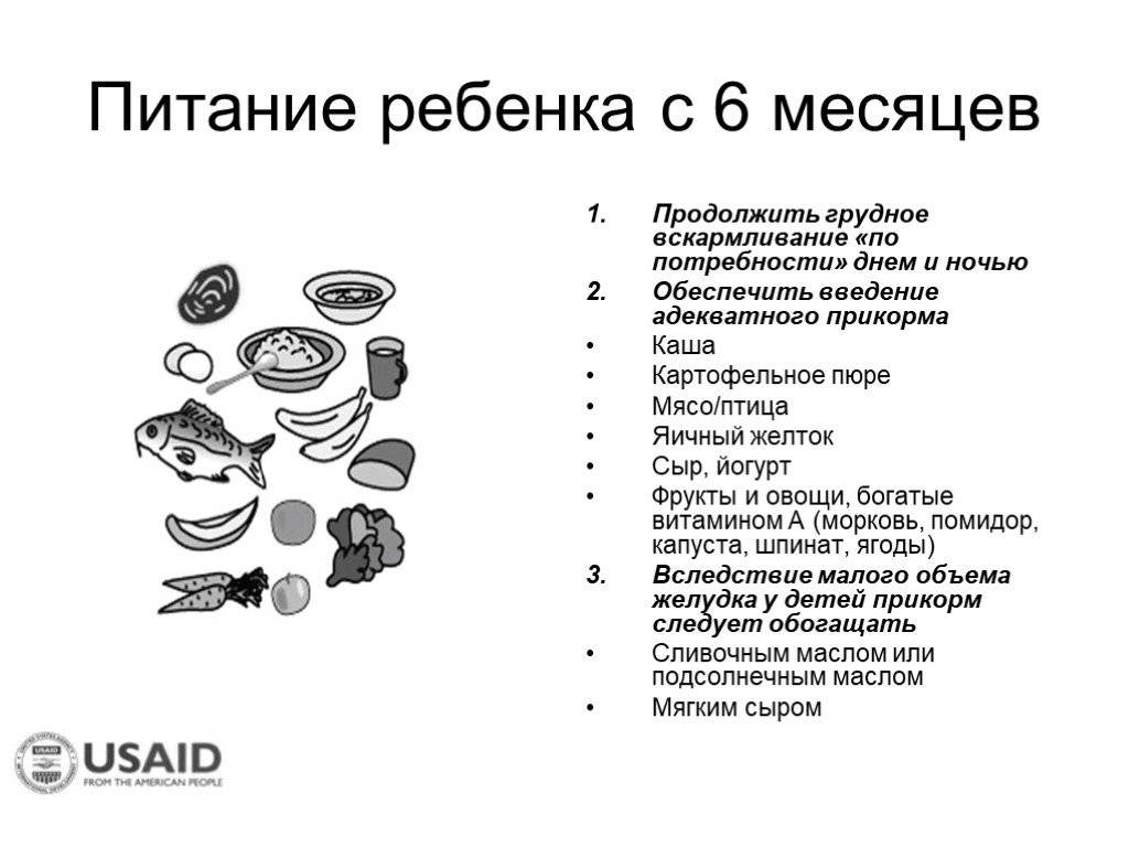 Режим питания 6-месячного ребенка