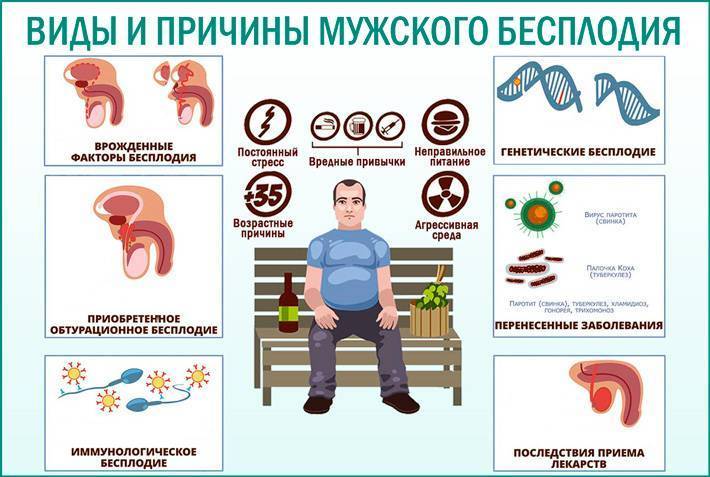 Мужской фактор эпидемия мужского бесплодия - медицинский центр «малыш»