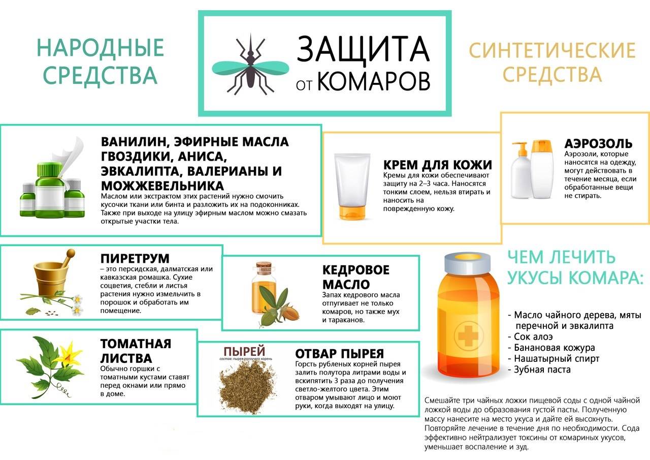 Как защитить ребенка от укусов комаров: народные средства для детей до года и старше