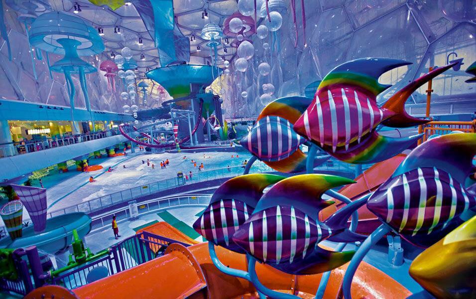 Топ-20 мест, куда сходить с детьми в санкт-петербурге | mychilds