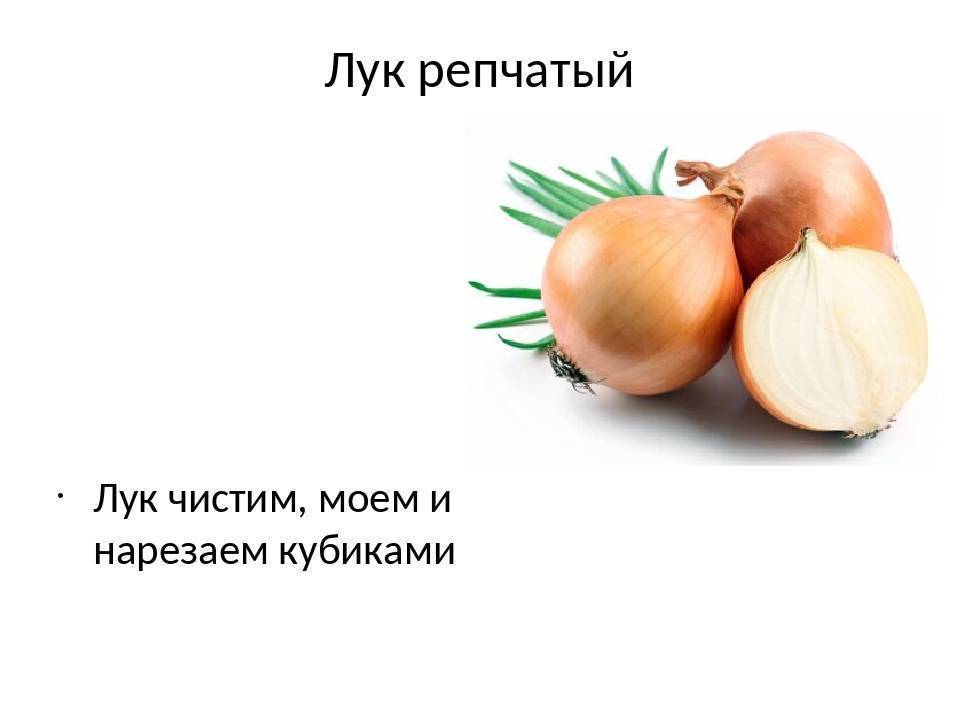 Лук детям сырой вареный репчатый зеленый как лекарство