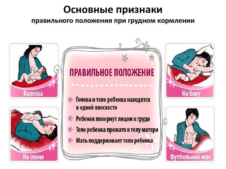 Когда придут месячные после родов. Основные признаки правильного положения при грудном вскармливании. Положение ребенка при кормлении. Первые симптомы беременности при грудном вскармливании. Положение при кормлении.