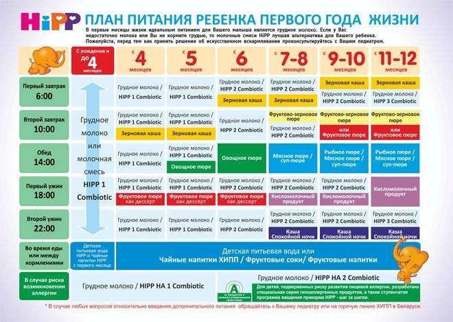 План питания ребенка в 5 месяцев