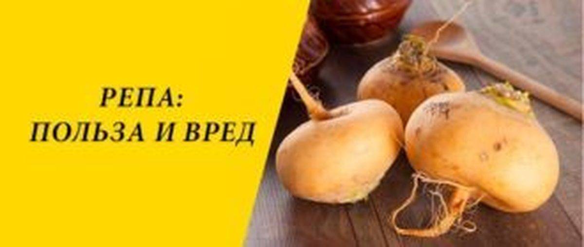 Польза и возможный вред репы для организма женщины