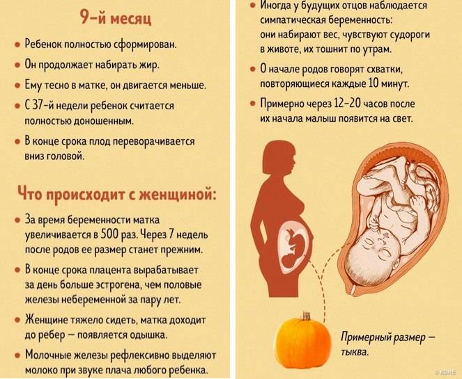 Почему ребенок икает в животе у беременной