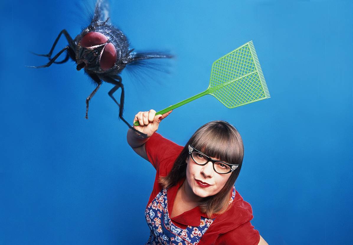 Что делать, если маленький ребенок 2 - 3 годика до ужаса боится мух