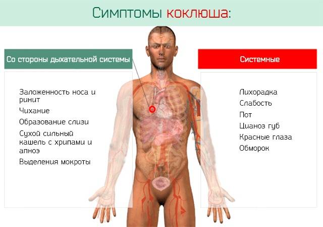 Про коклюш - статьи - клиника «c нуля» (здоровая семья)