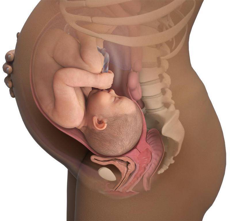 36 неделя беременности: что происходит, ощущения