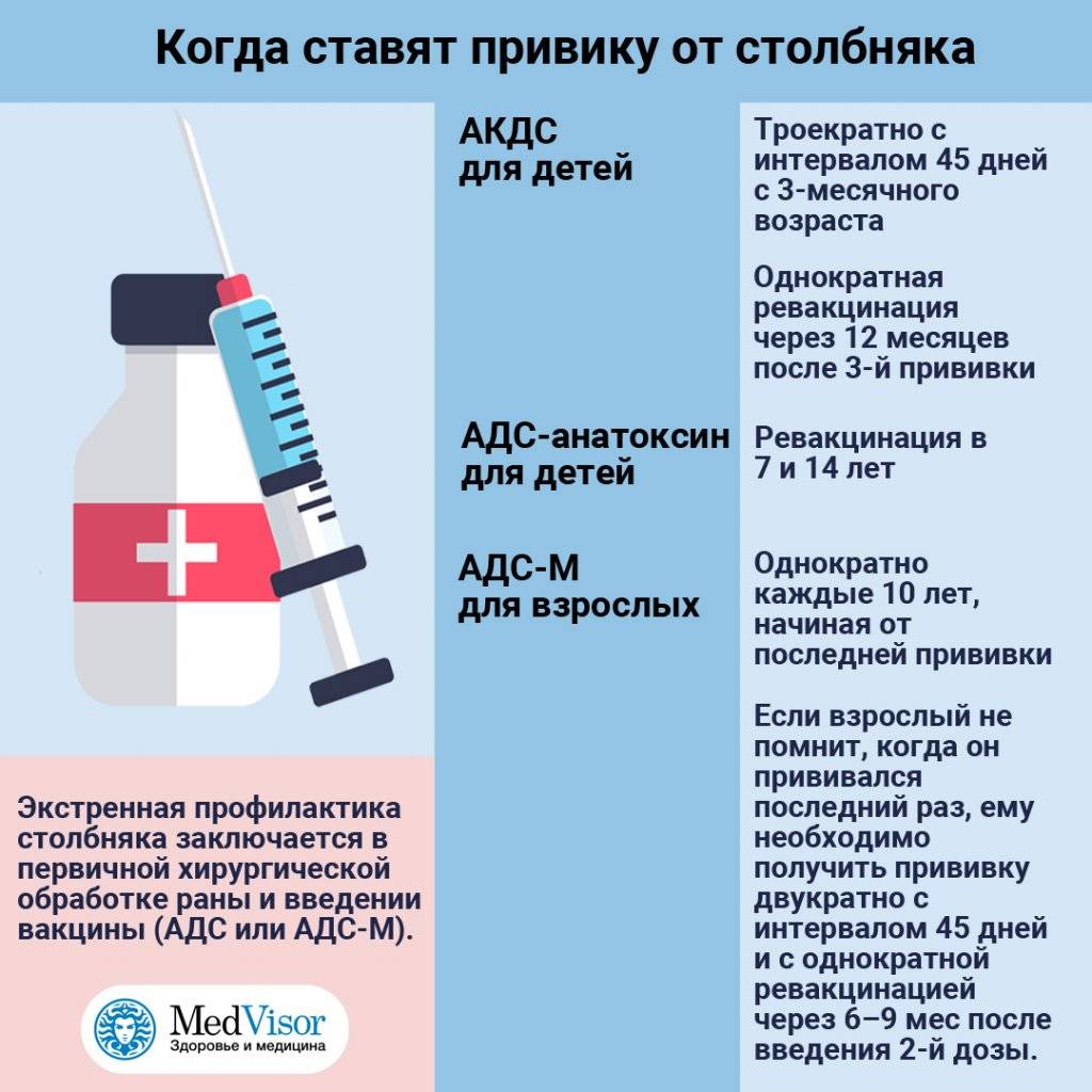 частота стула взрослого человека