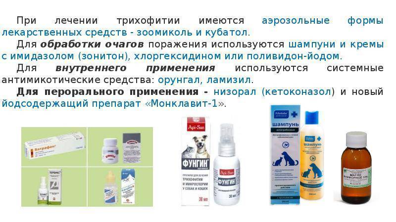 Микроспория у детей (стригущий лишай) - a-clinics