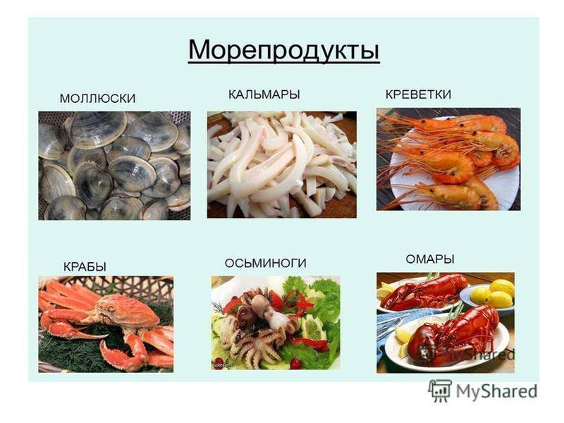 Можно есть морской. Виды морепродуктов. Морепродукты список названий. Морские продукты название. Морские продукты названия с картинками.