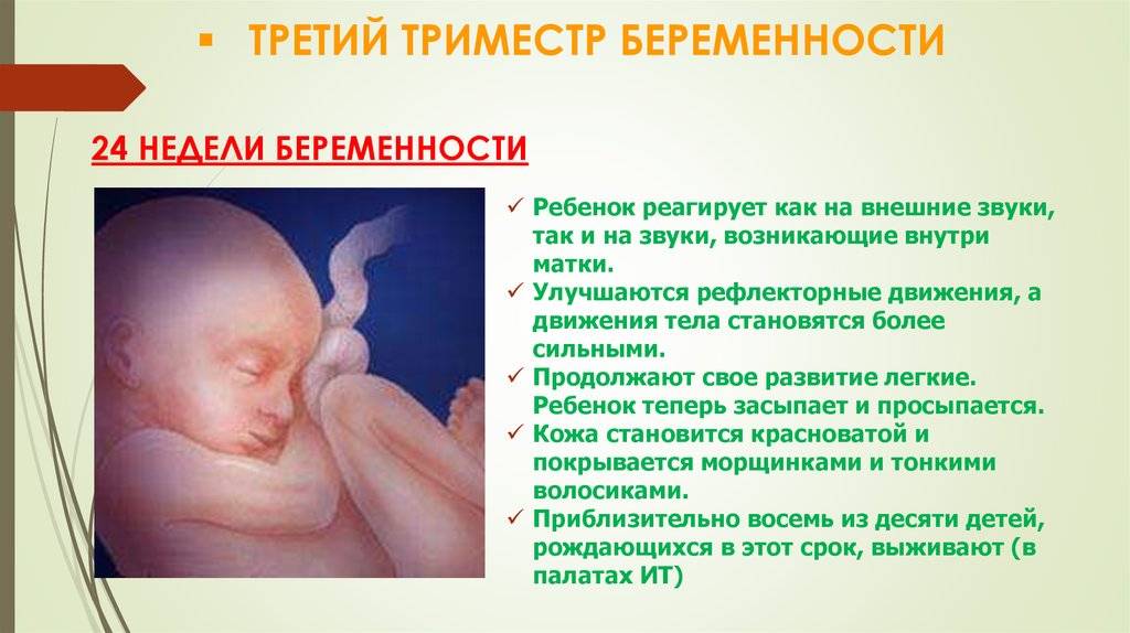 Второй триместр беременности: что можно, что нельзя, анализы, ощущения