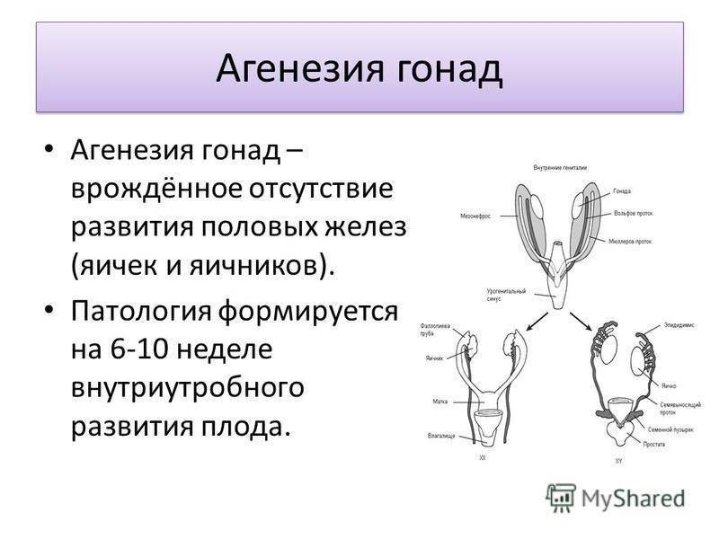 Обструктивные поражения дыхательных путей плода (обзор литературы и собственные наблюдения) » акушерство и гинекология