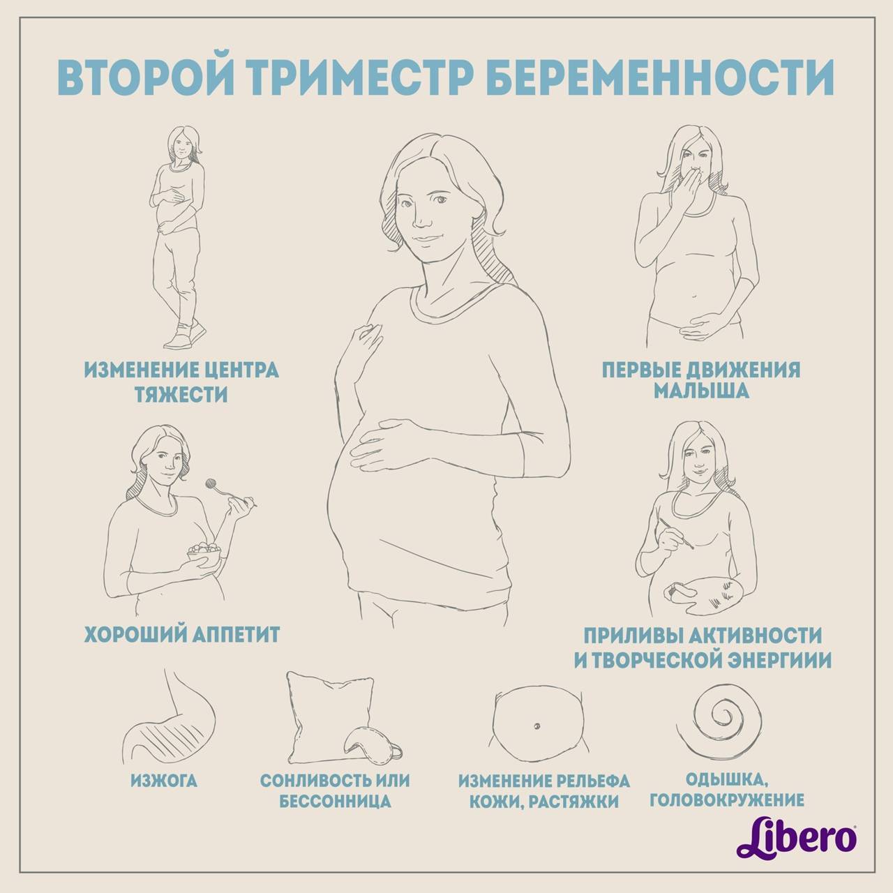 Второй триместр беременности – рекомендации, отзывы